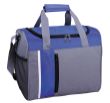 4253# Cooler Bag blue.jpg
